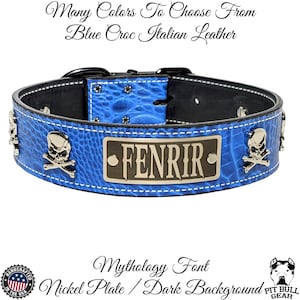 Skull & Crossbones Leather Dog Collar, Personalized Name Plate Collar, Heavy Duty Leather Dog Collar, Real Leather Dog Collar, Dog, 2&quot; Wide