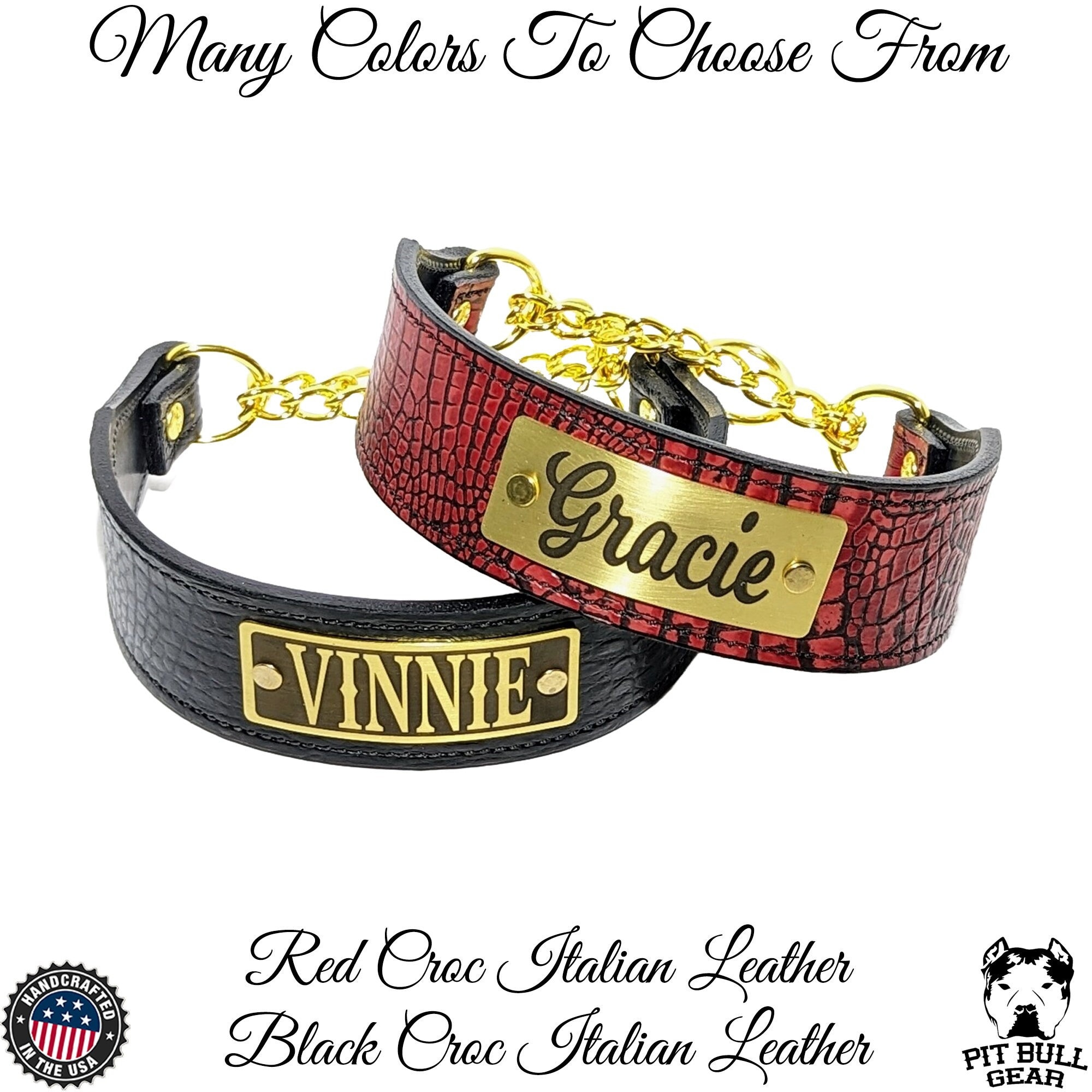 Leather Martingale Dog Collar, Leather Martingale Personalized Collar, Martingale Dog Collar with Name Plate, 2" Wide Martingale Collar Gold