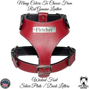 Personalized Leather Dog Harness, Leather Dog Harness with Name, Heavy Duty Dog Harness, Dog Vest, Harness for Big Dogs, Leather Harness
