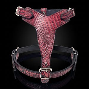May include: A dark red harness featuring a textured crocodile skin pattern. The harness includes a Y-shaped chest piece connected to a circular waist strap, finished with silver-toned metal buckles and hardware for adjustable secure fastening.