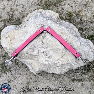 May include: Hot pink leather dog leash with two clips and a silver ring in the center. The leash is lying on a large gray rock.