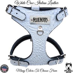 French Bulldog Leather Harness: Spiked Frenchie Style with Name Plate