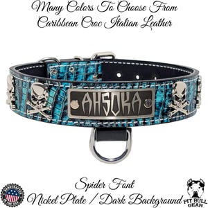 Leather Dog Collar, Personalized Name Plate Leather Dog Collar, Leather Collar with Skull & Crossbones, Handcrafted Leather Collar 1.5&quot; Wide