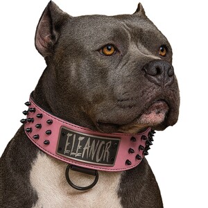 Custom 2.5&quot; Wide Spiked Leather Dog Collar with Personalized Name Plate, Spiked Leather Dog Collar, Heavy Duty Leather Dog Collar, 2.5&quot; Wide