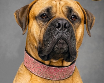 6,5 cm breites Hundehalsband aus italienischem Leder