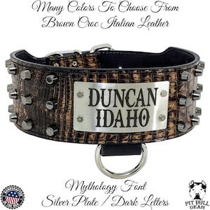 Leather Dog Collar, Personalized Name Plate Collar, Bucket Studded Leather Collar, Big Dog Collars, Bully Breed Collars, 3&quot; Wide Dog Collar