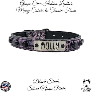 Leather Dog Collar, Personalized Dog Collar, Name Plate Leather Dog Collar, Studded Leather Dog Collar, Handcrafted Leather Collar, 1&quot; Wide