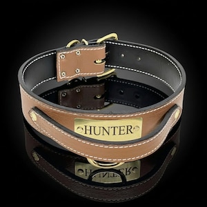 May include: A tan leather dog collar with a black interior lining and white stitching. The collar features a gold-toned metal nameplate engraved with the text HUNTER, a gold-toned buckle, and a D-ring for leash attachment, secured with rivets.