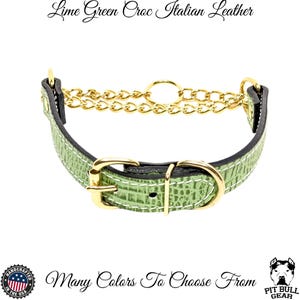 Leather Martingale Buckle Collar, Martingale Collar, Training Collar, Leather Collar, Martingale Buckle Collar, Martingale Gold Chain, 1&quot;