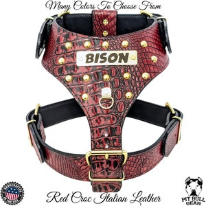 Leather Dog Harness, Personalized Name Plate Leather Harness, Leather Harness with Studs, Studded Leather Dog Harness, Handcrafted, Gold