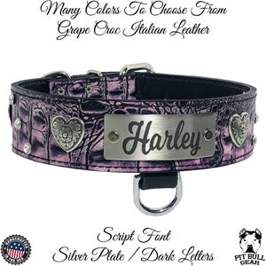 Personalized 2&quot; Leather Dog Collar: Diablo Hearts & Crystal Gems