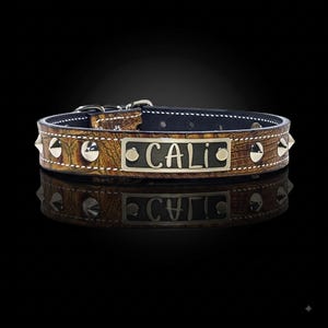 Studded Leather Dog Collar, 1 Inch Wide Cone Stud, Custom Engraved Name Plate