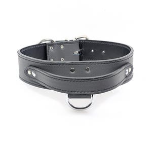 Heavy Duty Leather Dog Collar with Handle: 2&quot; Wide Training Collar