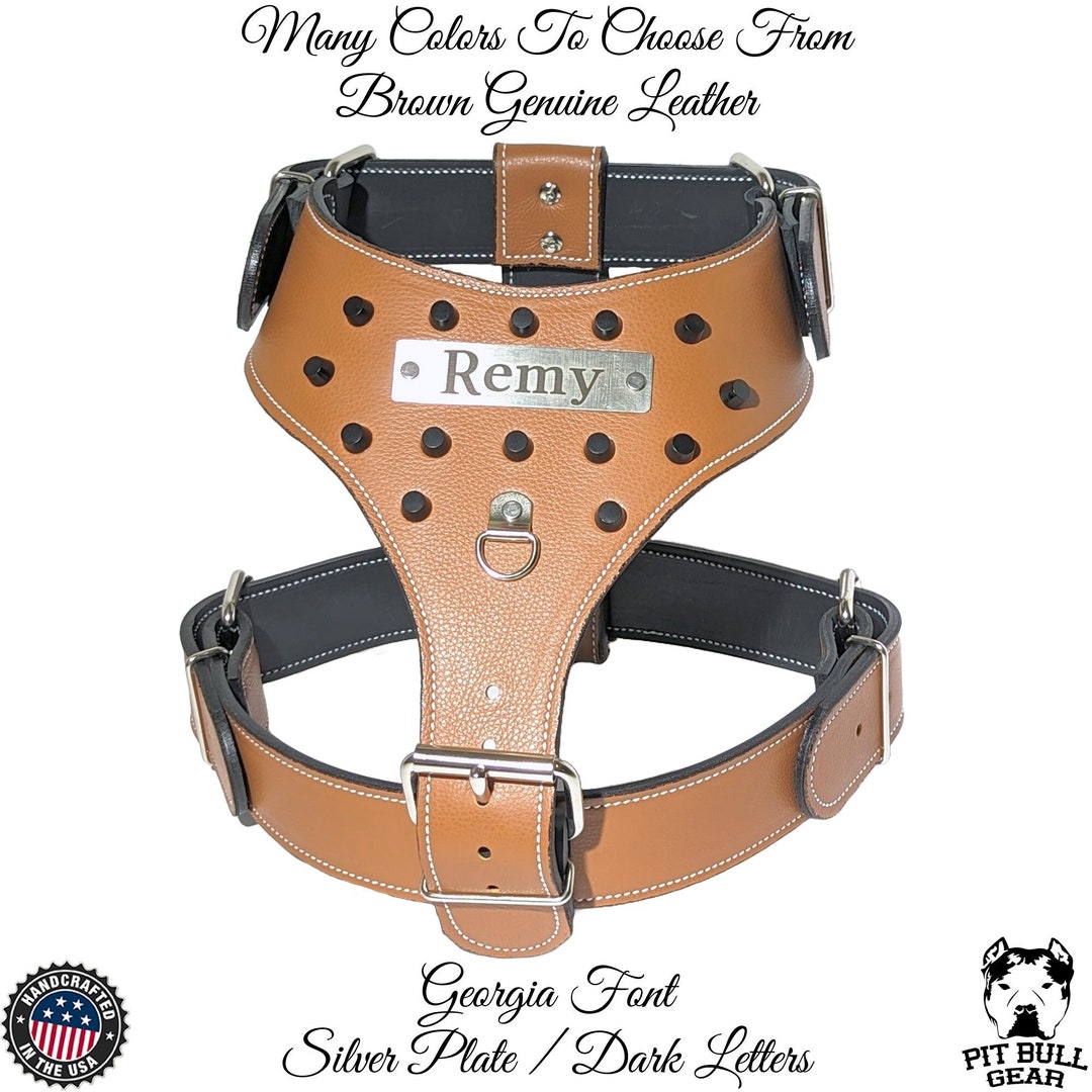 Leather Dog Harness Personalized Name Plate Leather Harness Etsy