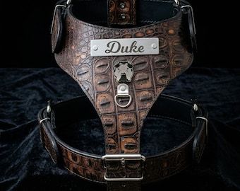 Custom Italian Leather Bully Dog Harness – Personalized Name Plate, Handmade Luxury Harness