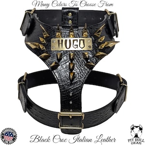 Spiked Leather Dog Harness, Personalized Name Plate Harness, Custom Made Dog Harness, Handmade Leather Dog Harness, Big Dogs, Gold Hardware