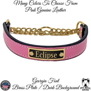Leather Martingale Collar, Personalized Leather Martingale Collar, Martingale Collar with Name Plate, 1&quot; Wide Martingale Collar, Gold Chain
