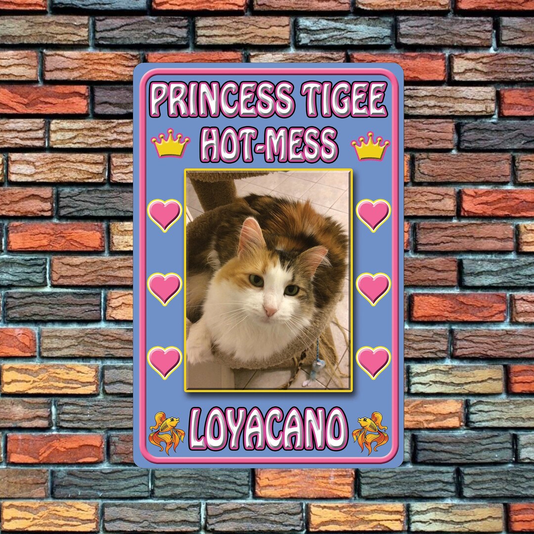 Custom Cat Sign Cat Sign Metal Door Sign Etsy