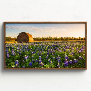 Frame TV Art, Bluebonnet Hay Bale Afternoon, Ennis, TX - Instant Digital Download for Frame TV, 3840x2160 Downloadable Artwork