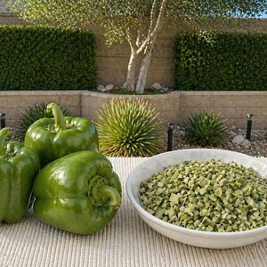 May include: Three fresh, green bell peppers next to a white bowl filled with diced green bell peppers. The peppers are on a white textured surface, with a background of greenery and a stone wall.