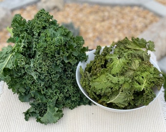 Dehydrated Kale Chips, Healthy Crunchy Snack, Dried Superfood, Soups Camping Food