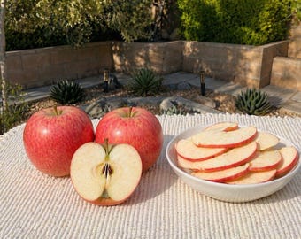 Freeze Dried Pink Lady Apple Slices, Crispy Apple Chips, Backpacking Travel Food