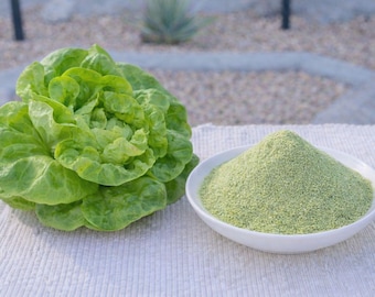 Dehydrated Butter Lettuce Lactuca Sativa Powder