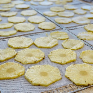 May include: Overhead shot of multiple trays filled with sliced pineapple rings. The pineapple slices are light yellow with a circular pattern and are arranged on a white mesh surface. The trays are on a light-colored surface.