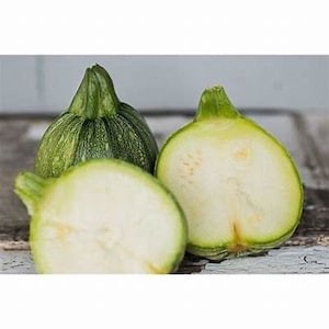 Dehydrated and Sliced Dried Ronde de Nice Squash