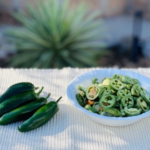 Freeze Dried Jalapeño Rings, Spicy Crunchy Peppers, Long Shelf Life Snack