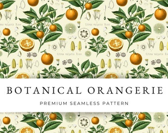 Orange botanical vintage seamless pattern, Fruit seamless file, Lemon Citrus repeat file, Floral Digital print design for commercial use PNG