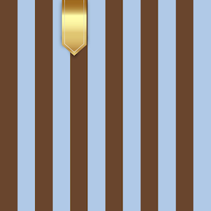 Può includere: Sfondo a righe verticali marroni e azzurre, con un elemento dorato a forma di nastro nella parte superiore. Le righe sono distanziate uniformemente, creando un design pulito. L'elemento dorato aggiunge un tocco di eleganza.