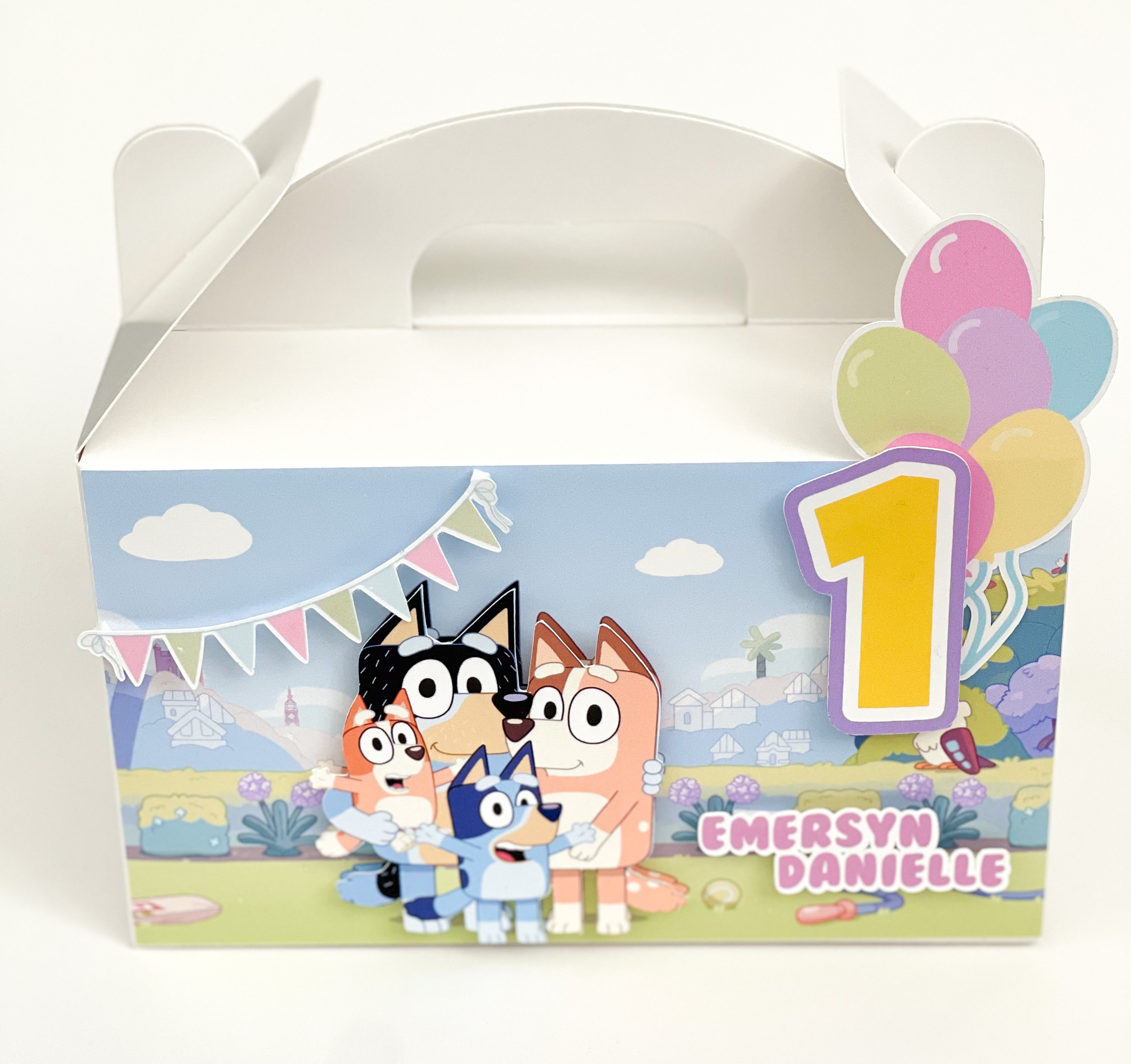 BLUEY STANDARD PERSONALISED PARTY BOX