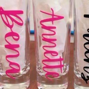 Personalized Shot Glasses | Bachelorette Party | Custom Shot Glasses | Bridal Party Gift | Birthday | Party Favors | Shot Glass Gift