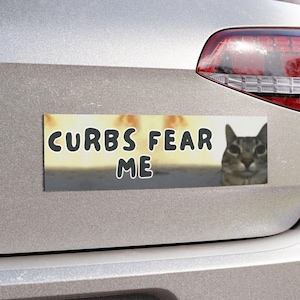 Calamite divertenti per auto con gatti, calamite per auto "Cubs Fear Me" per donne, accessori per auto da donna, adesivi per paraurti, regalo di decorazioni kawaii per auto.