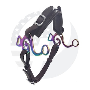 May include: A brown leather horse bridle with a rainbow colored bit. The bit has a curved mouthpiece and a loose ring on one side.
