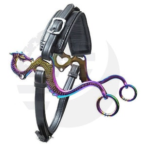 May include: A rainbow-colored horse bit with a dragon design. The bit has two rings on the side and a leather headstall.