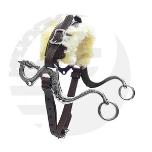 May include: A silver dragon bit horse bridle with a brown leather headstall and fleece padding.