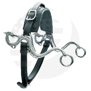 May include: A black leather horse bridle with a silver-colored bit. The bit features a decorative dragon design on the sides and rings for the reins. The bridle has a padded headstall and a buckle closure.