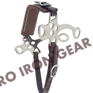 May include: A brown leather horse bridle with a silver metal bit and a silver buckle. The bridle is designed for use with a horse's head.