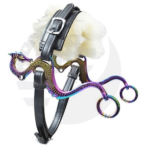 Rainbow Dragon Hackamore Bitless Horse Bit: Black Leather & Fur