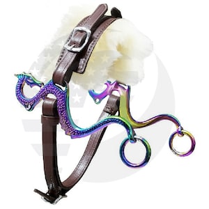 May include: A rainbow-colored horse bit with a dragon design. The bit is attached to a brown leather bridle with a white sheepskin noseband.