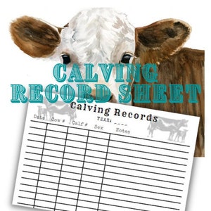 Calving Record Sheet. Calf planner. Cattle ranch. Planner for Records. Rancher. Farmer. Cows. Calving. PDF download. Sales. Monthly Calendar