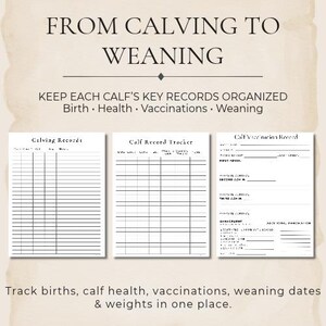 May include: A set of three white printed record sheets with black text. The top reads FROM CALVING TO WEANING. The sheets are titled Calving Records, Calf Record Tracker, and Calf Vaccination Record, featuring columns and lines for tracking data.