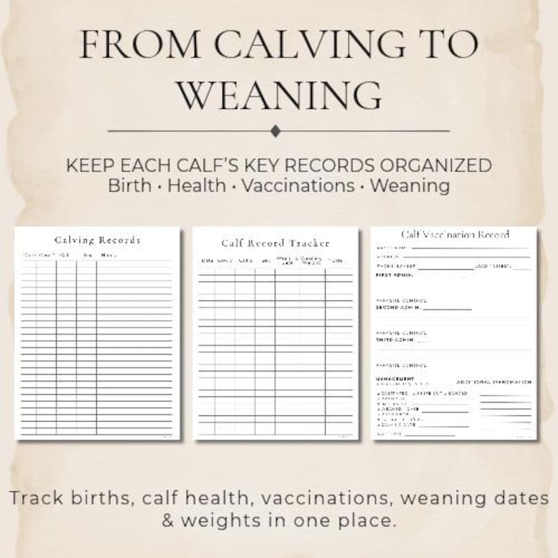 May include: A set of three white printed record sheets with black text. The top reads FROM CALVING TO WEANING. The sheets are titled Calving Records, Calf Record Tracker, and Calf Vaccination Record, featuring columns and lines for tracking data.