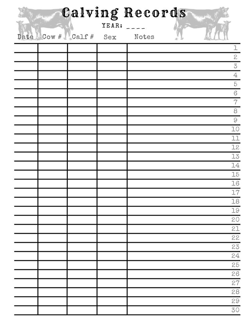 Calving Record Sheet Printable | Numbered Cattle Log (PDF Download) - Etsy