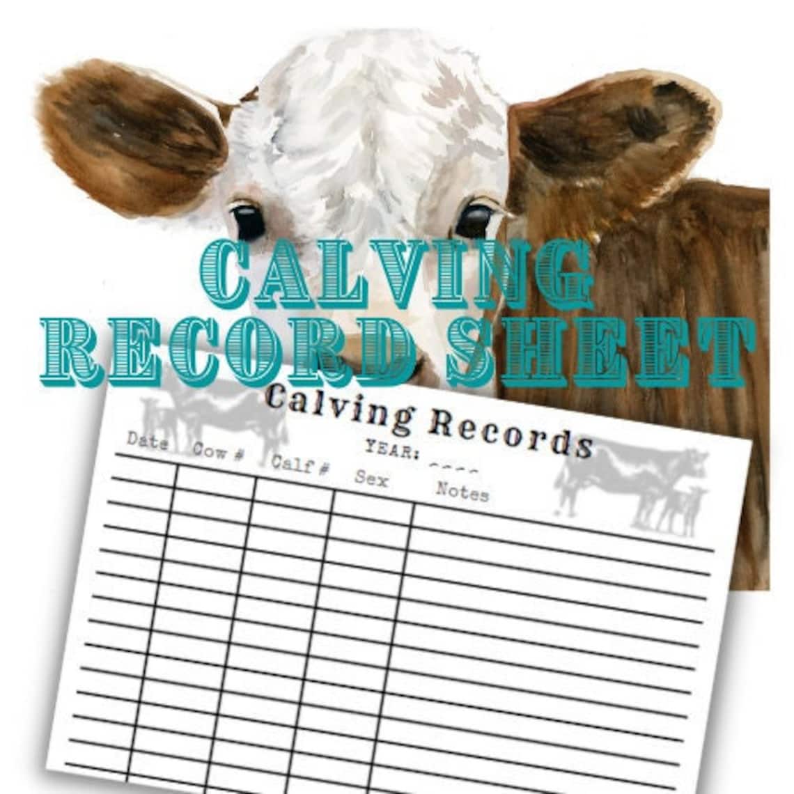 Calving Record Sheet. Calf Planner. Cattle Ranch. Planner for Records Calving Record Sheet. Calf Planner. Cattle Ranch. Planner for Records