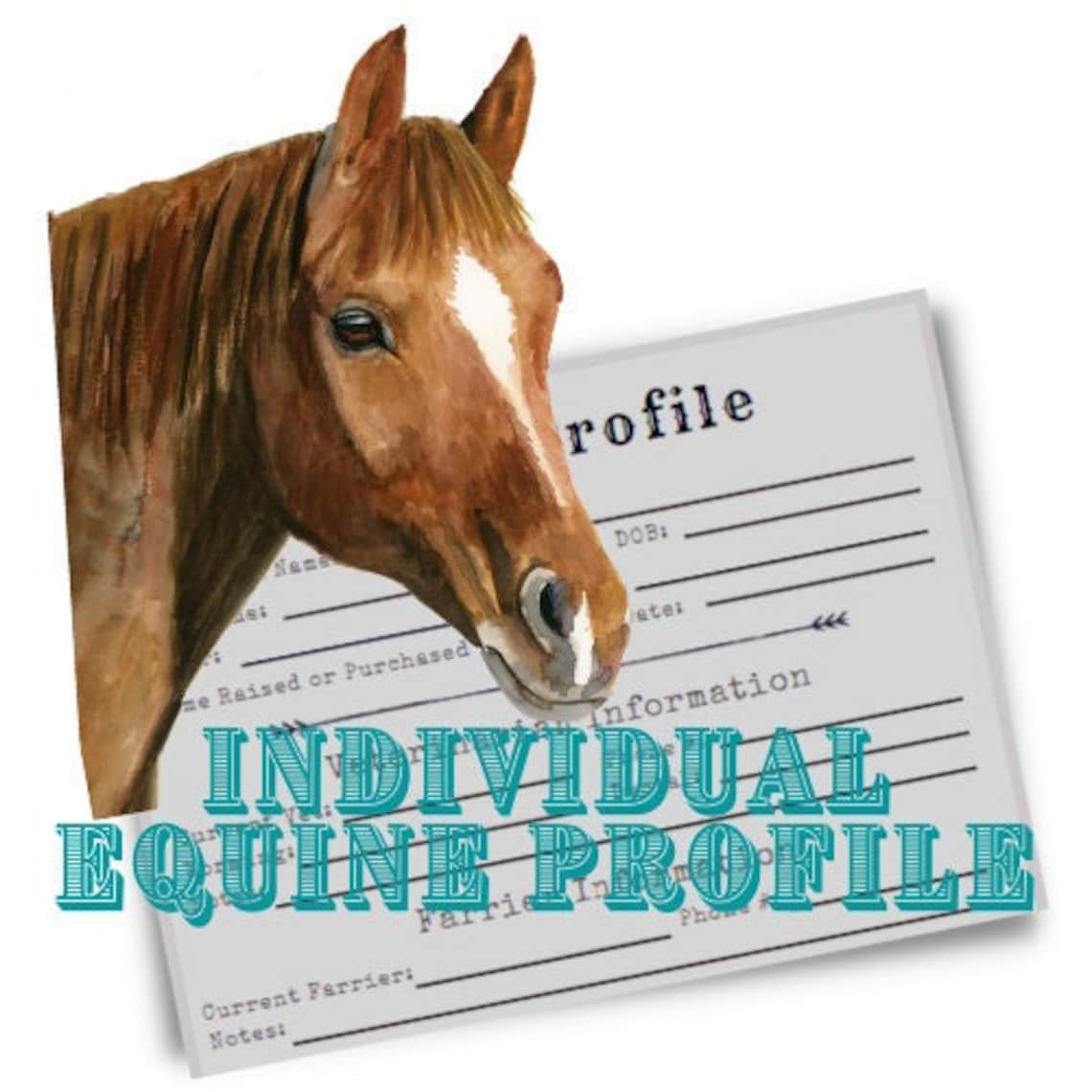 Individual Horse Profile. Record Sheet. Ranch. Planner for Records ...