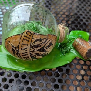 Spilt potion bottles decor Halloween/Harry potter gillyweed