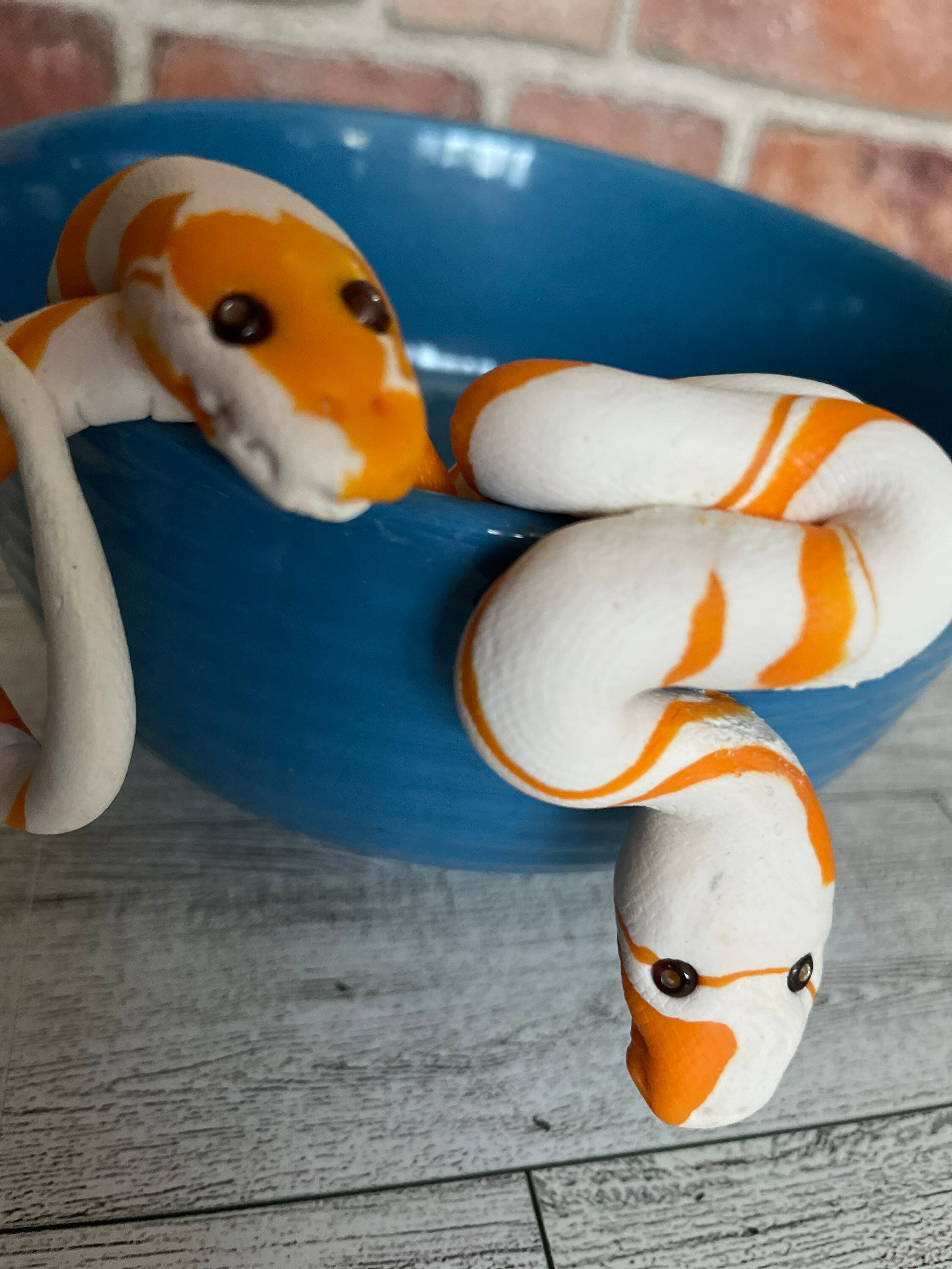 Ball Python Creamsicle Snake Clay Sensory Toy, Pot Buddy,textured ...